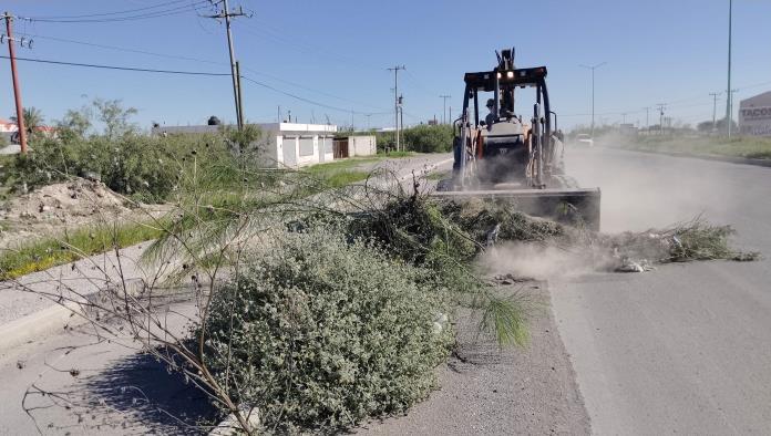 Limpian la ciclovía