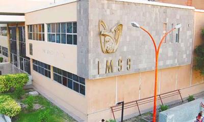 Llamado Urgente del IMSS a Ex Trabajadores para Renovar Supervivencia