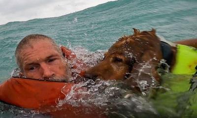 Guardia Costera rescata a hombre y su perro golpeados por huracán Helene en el mar