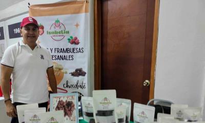 Innovación y Tradición en Productos Artesanales de Irapuato