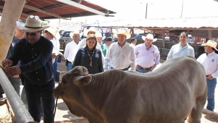 Aplican tecnología de última generación al sector agropecuario de Coahuila