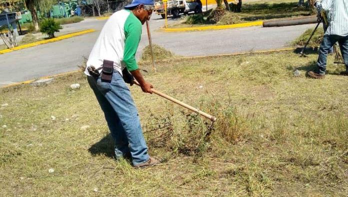 Limpia Forestación la Planta Tratadora