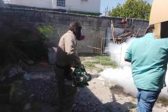 Intensifican campaña contra el dengue