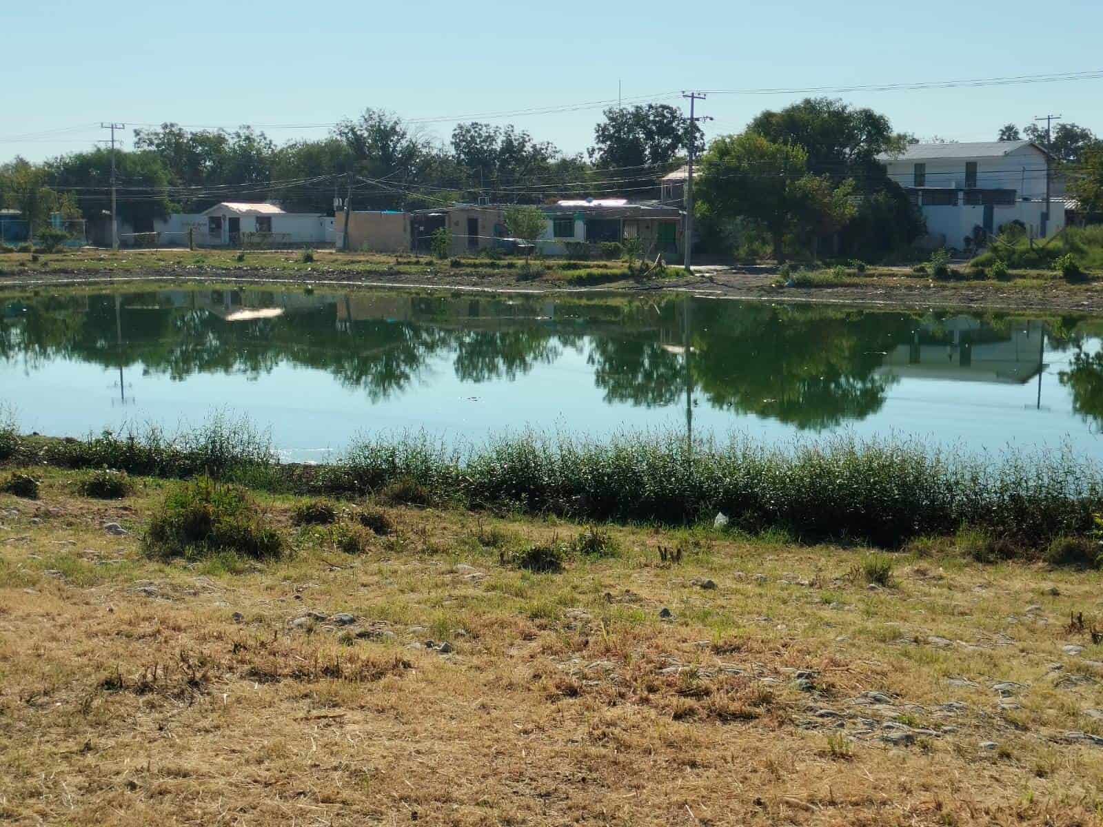 Vecinos de la Colonia Lázaro Cárdenas Piden Apoyo Contra Mosquitos