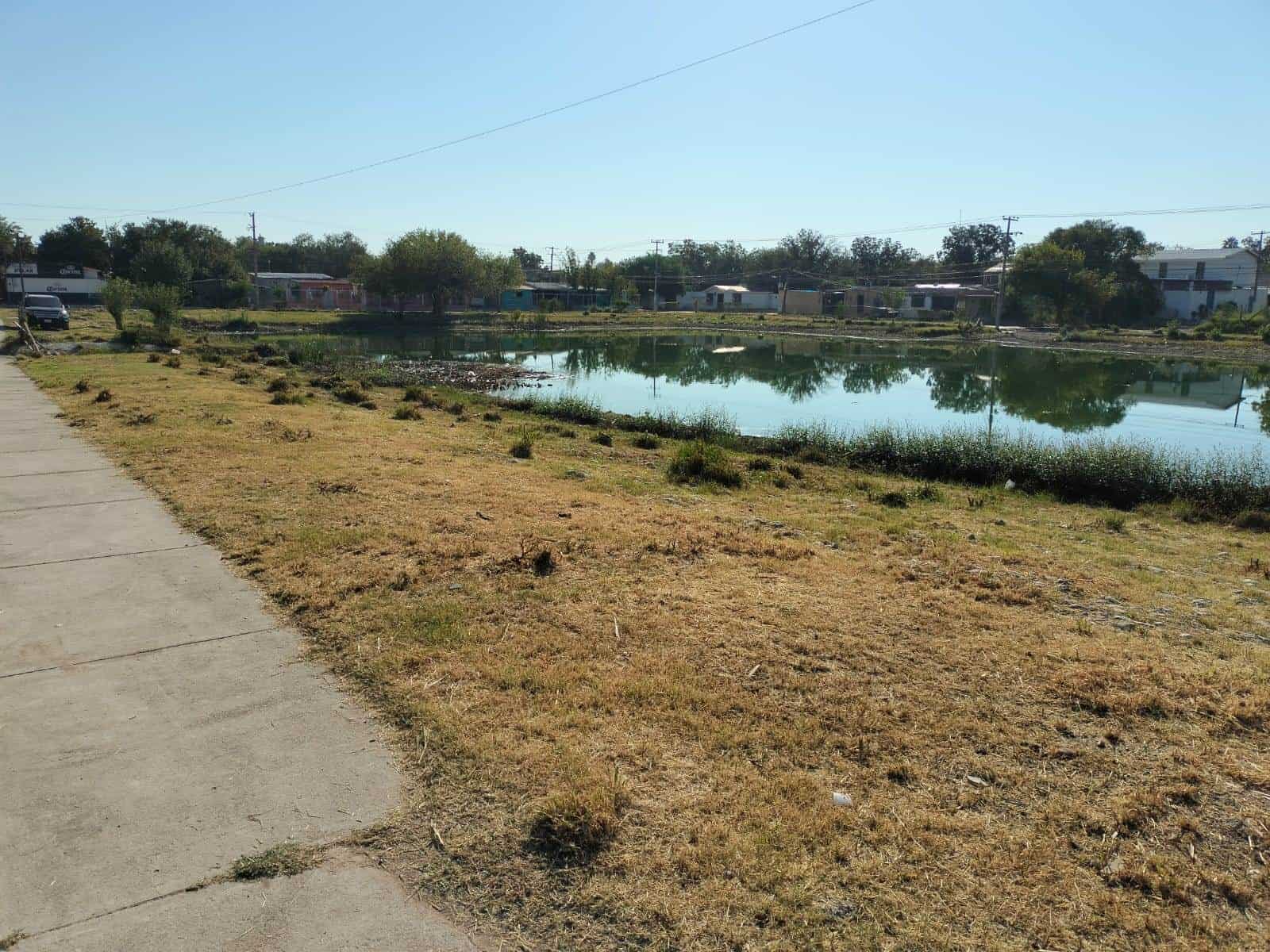 Vecinos de la Colonia Lázaro Cárdenas Piden Apoyo Contra Mosquitos