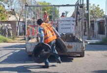 Continúan acciones de para combatir dengue