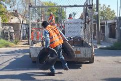 Continúan acciones de para combatir dengue