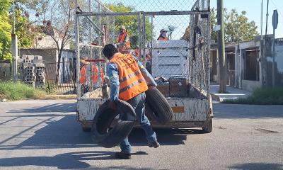 Continúan acciones de para combatir dengue