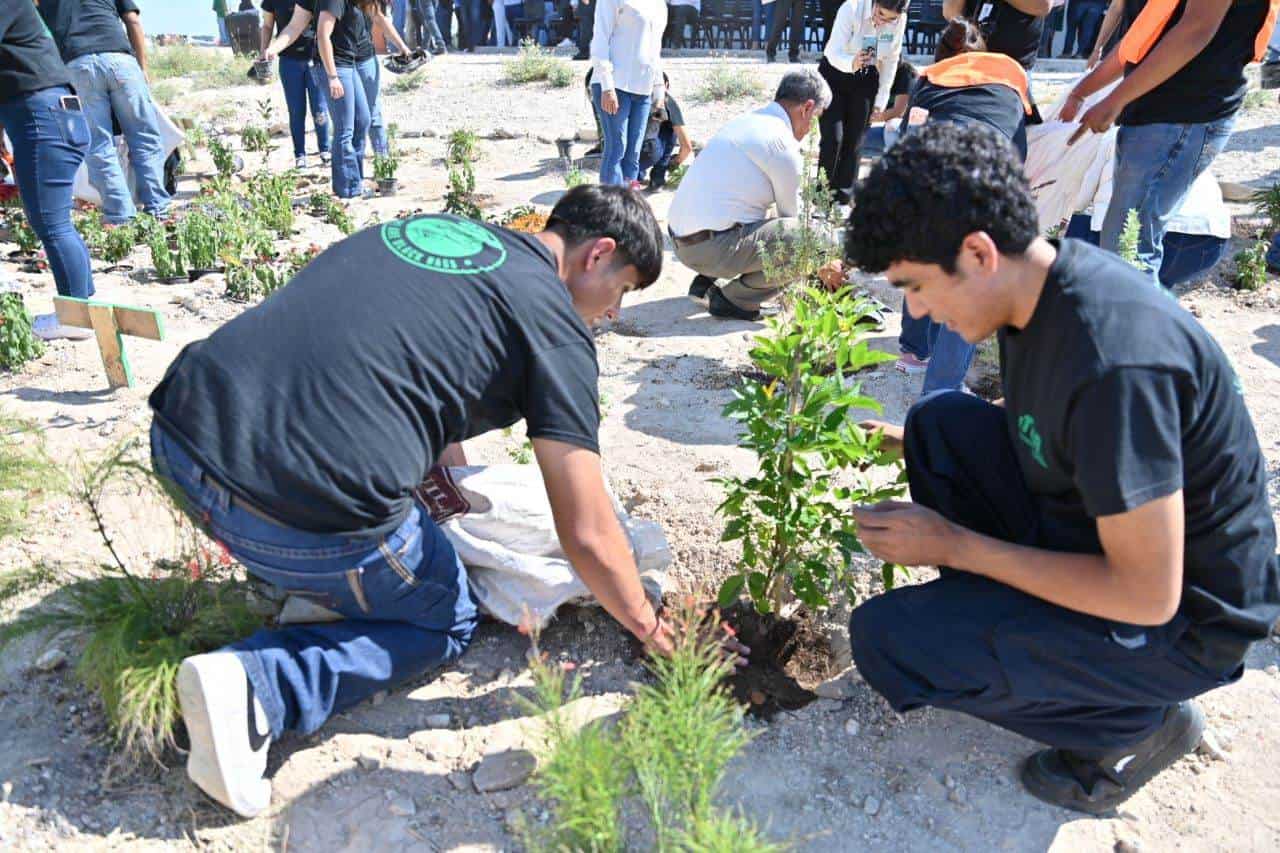 Octubre en Ciudad Acuña: Celebrando la Mariposa Monarca con Actividades Ecológicas