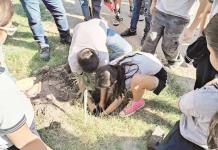 Reforestan paseo del Río Sabinas