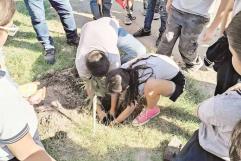 Reforestan paseo del Río Sabinas