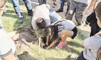 Reforestan paseo del Río Sabinas