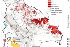 Bolivia en llamas; Incendios devoran 10 millones de hectáreas