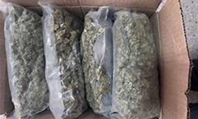 Decomisan 30 Kilos de Marihuana en Las Delicias y Detienen a Pareja