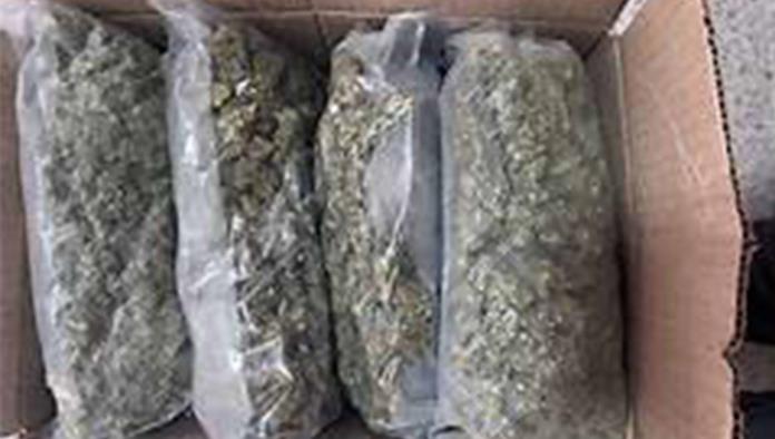 Decomisan 30 Kilos de Marihuana en Las Delicias y Detienen a Pareja