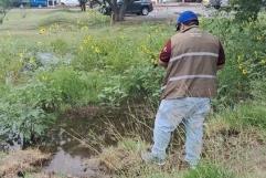 Intensifican Prevención del Dengue y Rickettsiosis en Piedras Negras