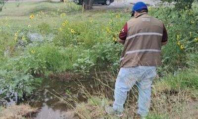 Intensifican Prevención del Dengue y Rickettsiosis en Piedras Negras