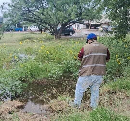 Intensifican Prevención del Dengue y Rickettsiosis en Piedras Negras