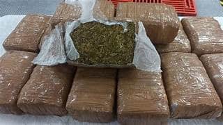 Decomisan 30 Kilos de Marihuana en Las Delicias y Detienen a Pareja