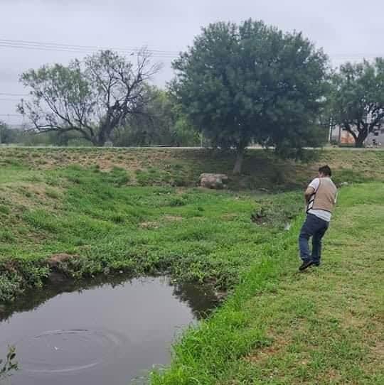 Disminuyen casos de dengue en Piedras Negras