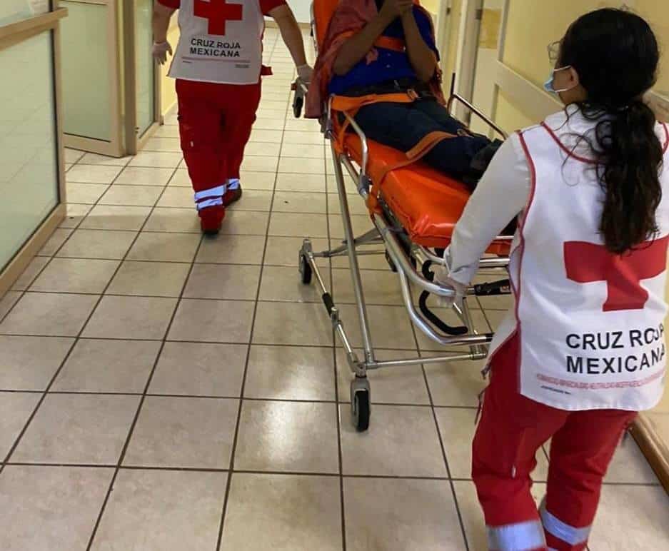 Tres personas han resultado heridas por ataques de perros Pitbull.