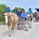 Celebran XX aniversario de la Colonia Nueva Sauceda con Cabalgata y Jaripeo