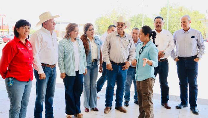 Aplican jornadas de esterilización canina y felina durante dos días en Sabinas