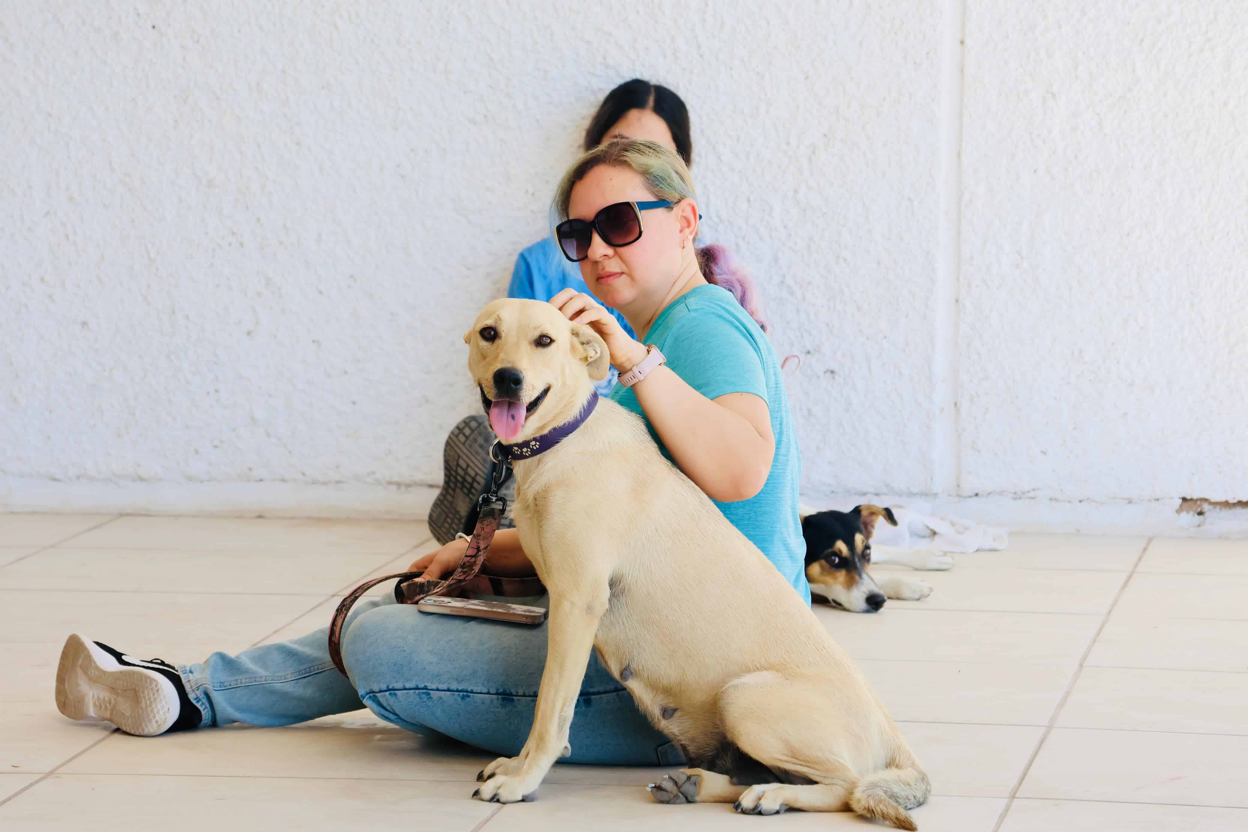 Aplican jornadas de esterilización canina y felina durante dos días en Sabinas