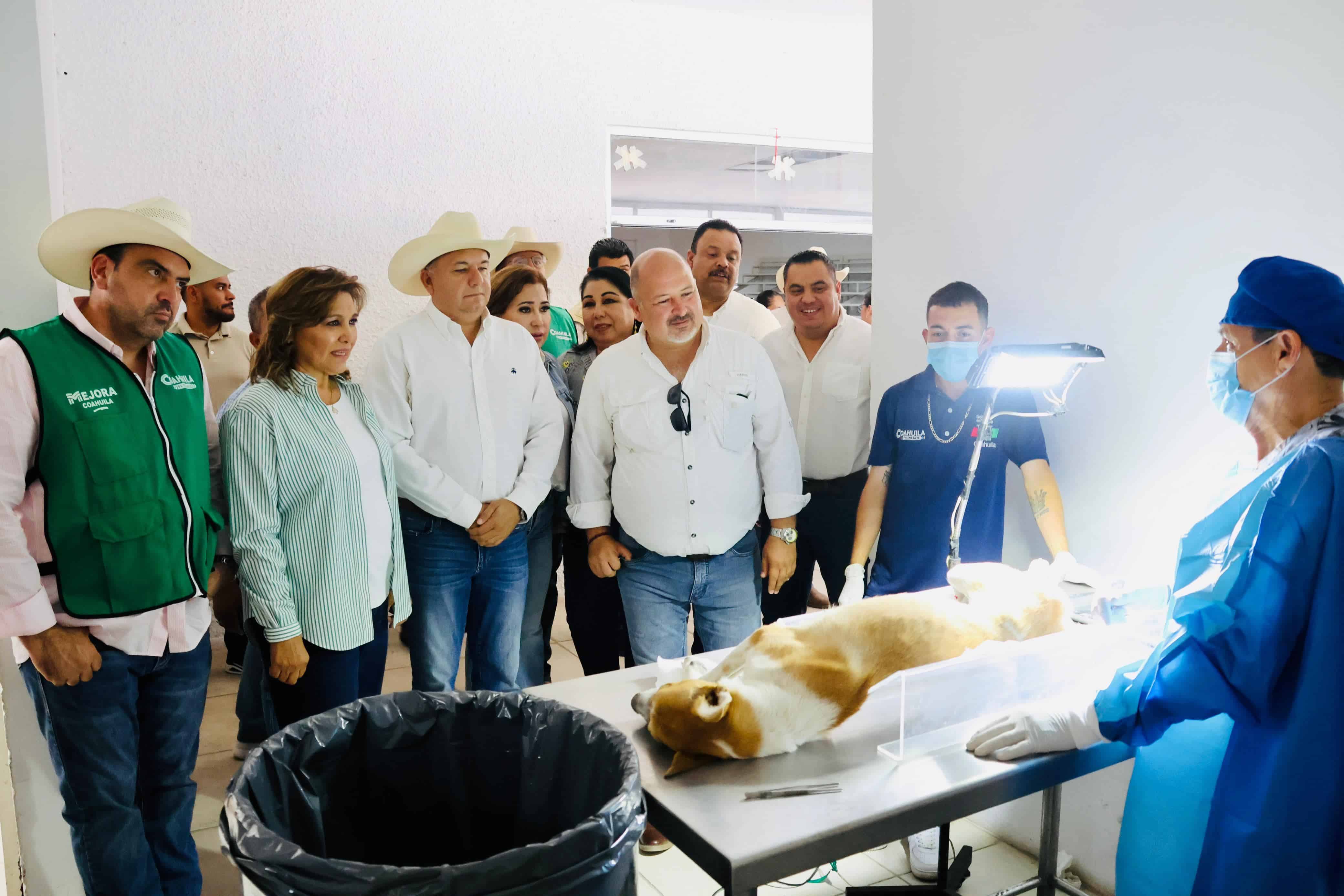 Aplican jornadas de esterilización canina y felina durante dos días en Sabinas