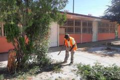 Reportan 50 casos de dengue en escuelas