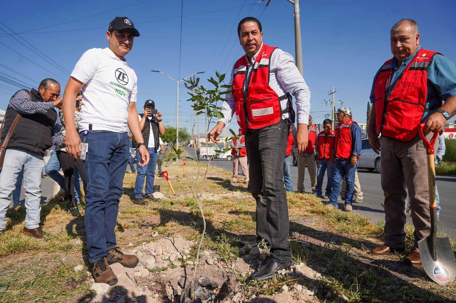 La empresa ZF fue la encargada de poner en práctica las primeras acciones de “Adopta tu banqueta” con la plantación de 25 árboles.