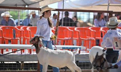 Arranca la 7ma Edición de la Expo Ganadera en Ciudad Acuña