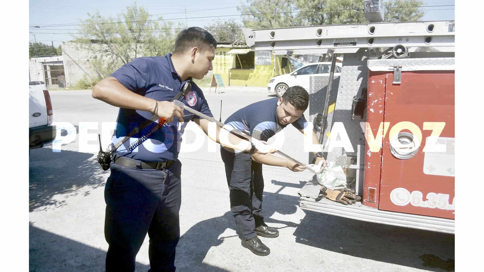 Anidaba víbora dentro de hogar