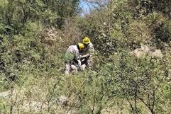 Hombre Muere Tras Recibir Descarga Eléctrica; Estaba Esperando la Cabalgata