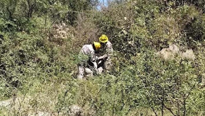 Hombre Muere Tras Recibir Descarga Eléctrica; Estaba Esperando la Cabalgata