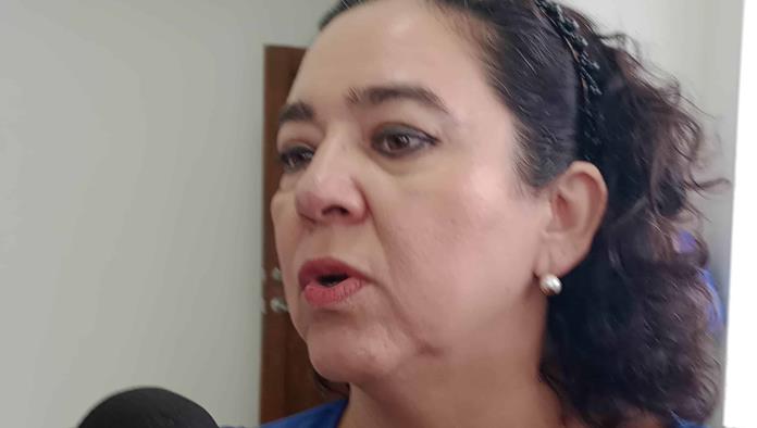 Una sola persona vendió seis predios municipales