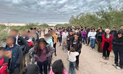 Aseguran a 204 migrantes ilegales; Entre ellos 57 niños solos