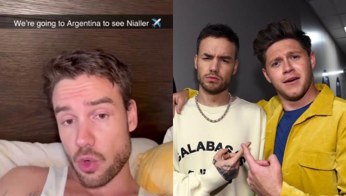 Niall Horan se despide de Liam Payne