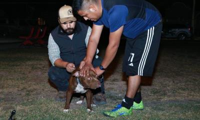 Realizan con Éxito en Campaña de Salud Animal en Nava