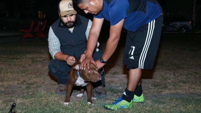 Realizan con Éxito en Campaña de Salud Animal en Nava