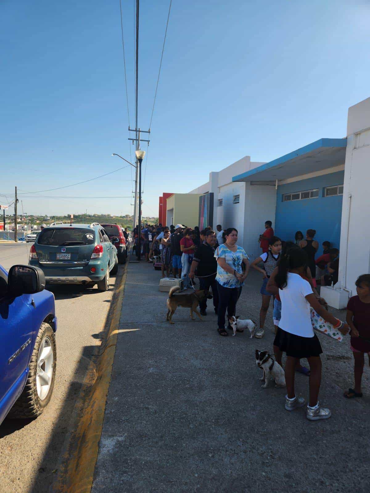 Culminan Brigadas de Atención a Mascotas en Ciudad Acuña