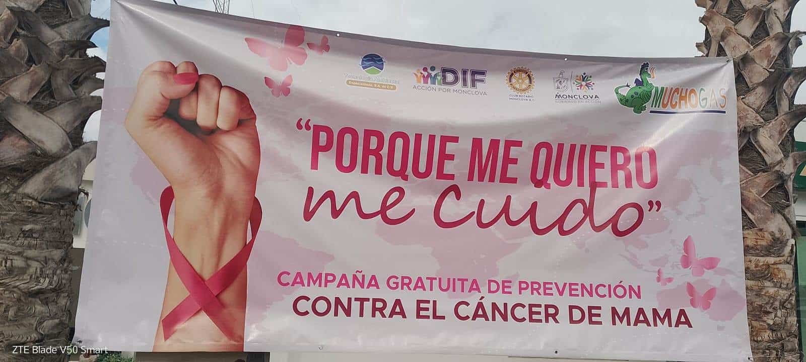 Las campañas de prevención del cáncer de mama son cruciales porque concientizan sobre la importancia de los estudios regulares, facilitando el acceso a diagnósticos y tratamientos oportunos.