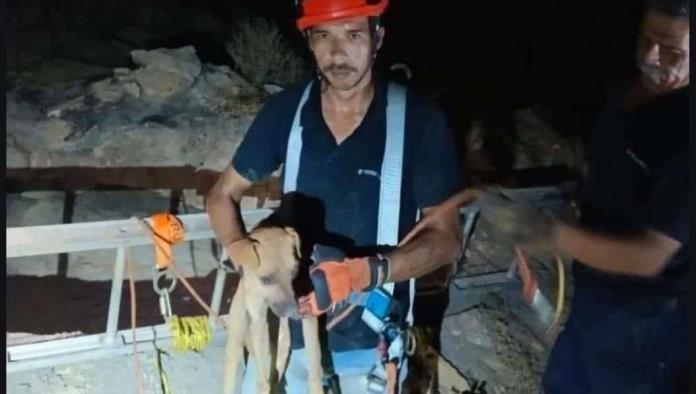 Heroico rescate de bomberos 