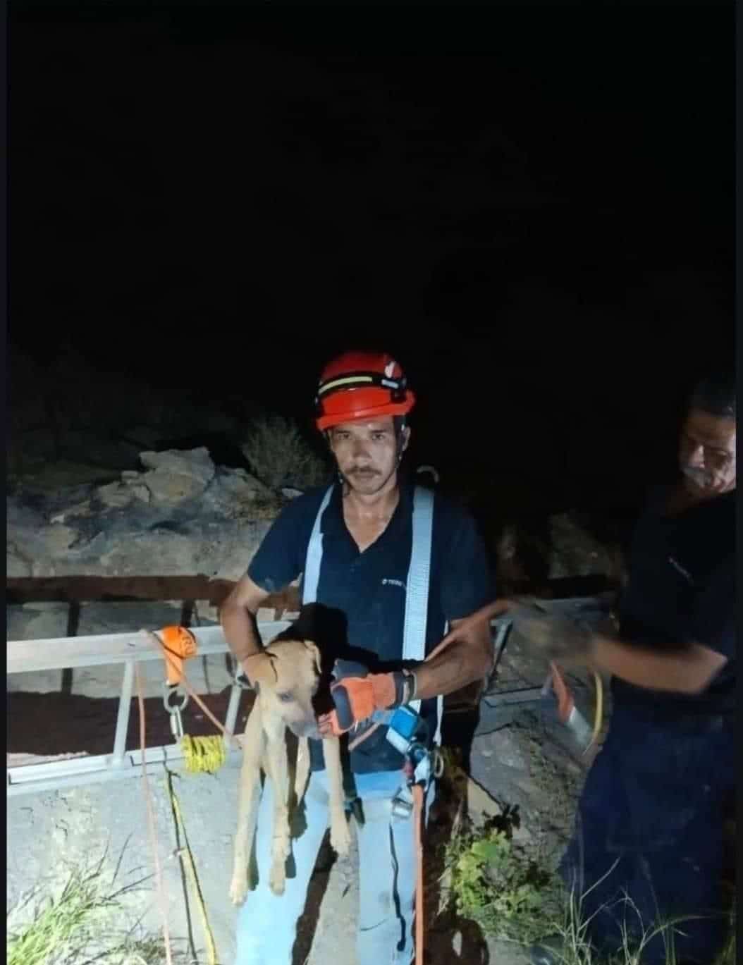 Heroico rescate de bomberos 