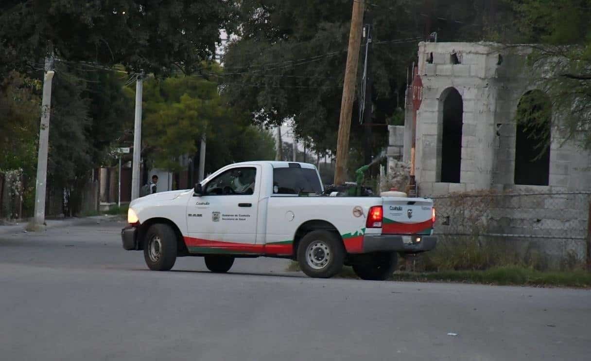 Dos Decesos y Aumento de Casos de Dengue en la Región de los Cinco Manantiales