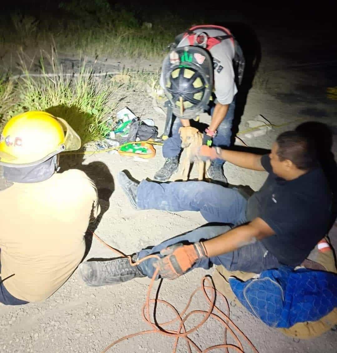 Rescatan a Perro en Pozo de 25 metros en Sabinas