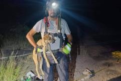 Rescatan a Perro en Pozo de 25 metros en Sabinas