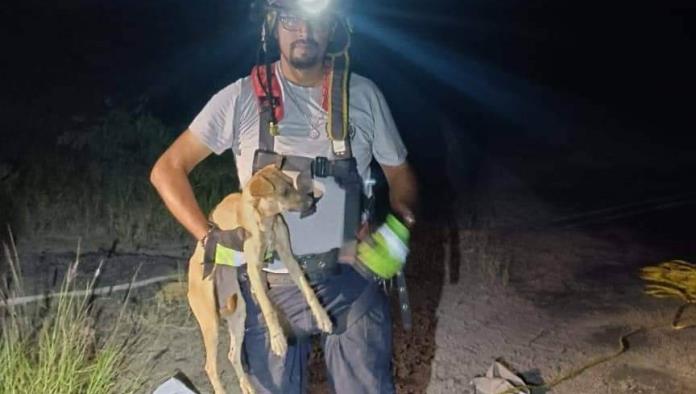 Rescatan a Perro en Pozo de 25 metros en Sabinas