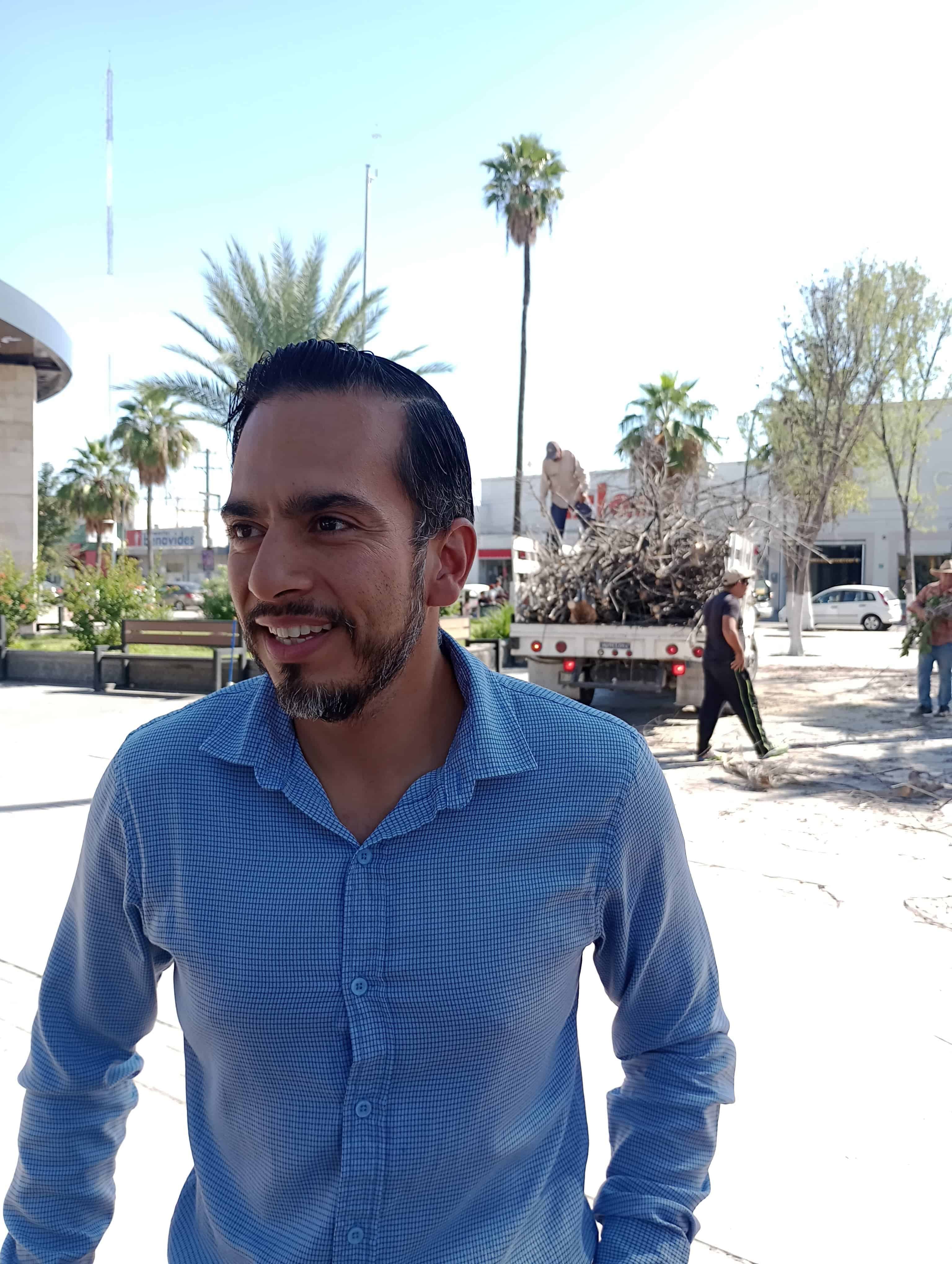 Retiran 5 árboles secos en la plaza