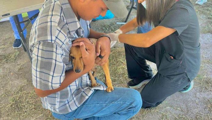 Exitosa campaña de vacunas a mascotas